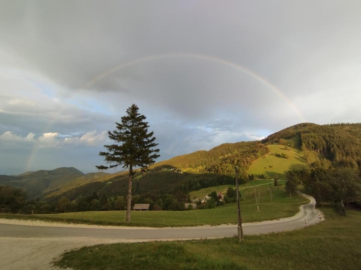 Planinski Dom Vrhe Hotel Trbovlje Buitenkant foto